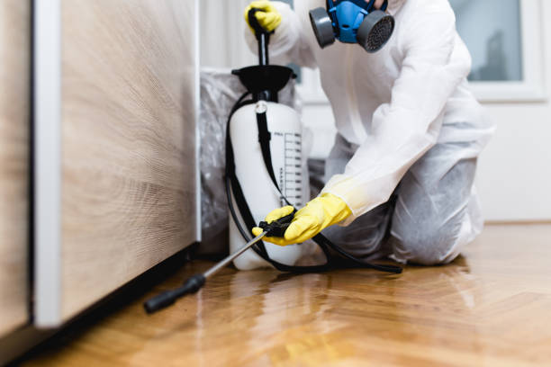 Best Affordable Pest Control Services  in Glennville, GA