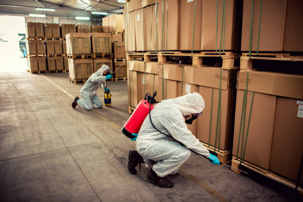 Best Pest Control Near Me in Glennville, GA