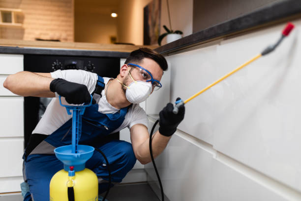 Best Best Pest Control Companies  in Glennville, GA
