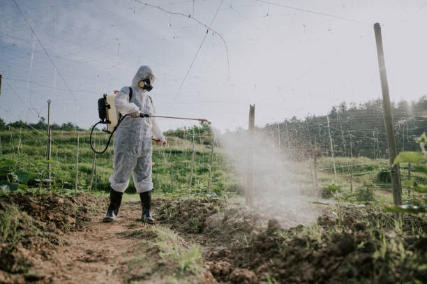 Best Ant Control Services  in Glennville, GA