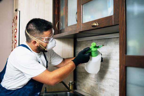 Wildlife Control Services in Glennville, GA