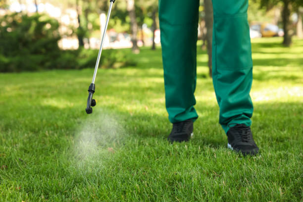 Best Pest Control Cost  in Glennville, GA