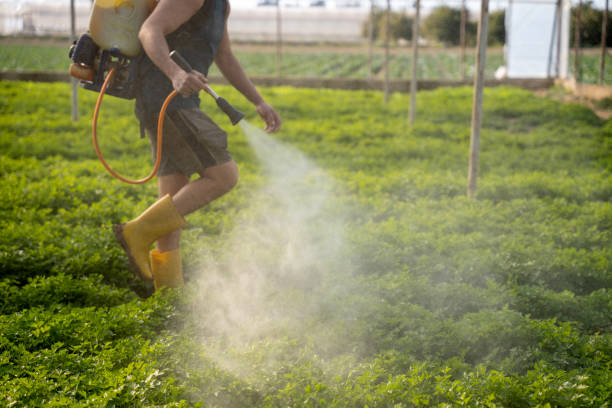 Best Insect Control  in Glennville, GA