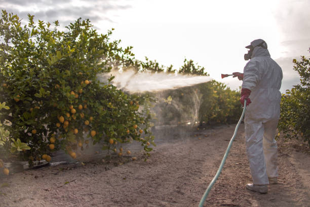 Best Pest Inspection Near Me  in Glennville, GA