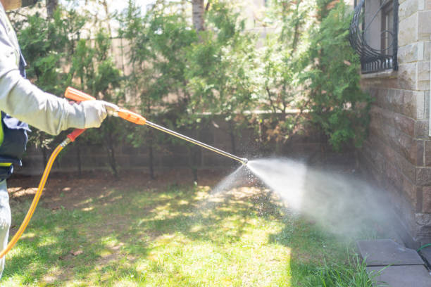 Best Best Pest Control Companies  in Glennville, GA