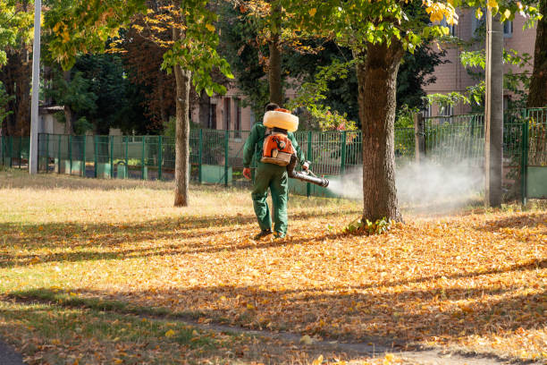Wasp Removal Services in Glennville, GA