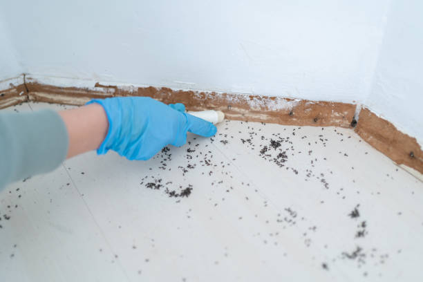 Best Pest Control for Businesses  in Glennville, GA