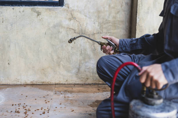 Best Termite Control Services  in Glennville, GA